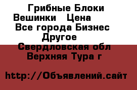 Грибные Блоки Вешинки › Цена ­ 100 - Все города Бизнес » Другое   . Свердловская обл.,Верхняя Тура г.